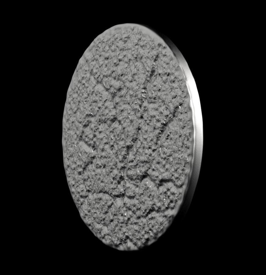 Chinese Zodiac Cat 003 3D print model_40