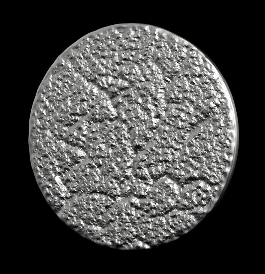 Chinese Zodiac Cat 003 3D print model_35