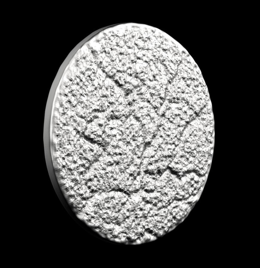 Chinese Zodiac Cat 003 3D print model_24