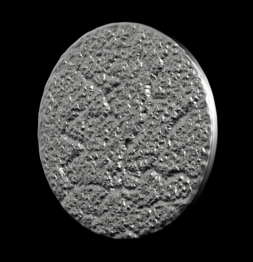 Chinese Zodiac Cat 003 3D print model_37