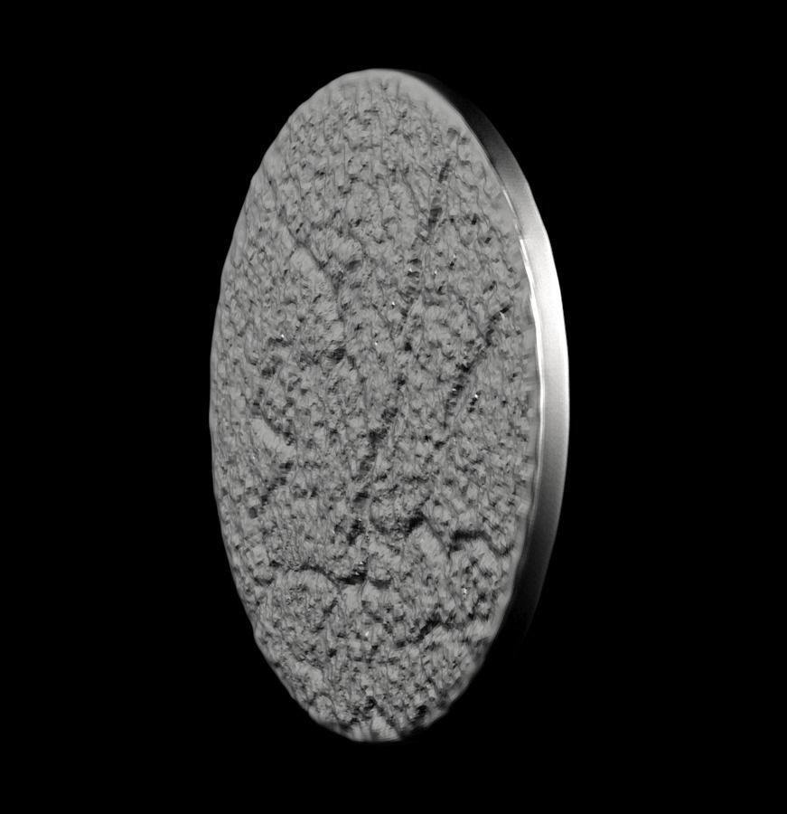 Chinese Zodiac Cat 003 3D print model_41