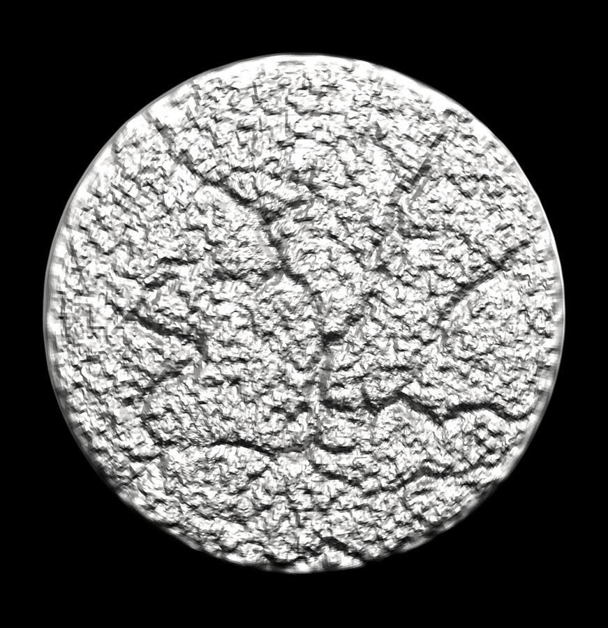 Chinese Zodiac Cat 003 3D print model_31