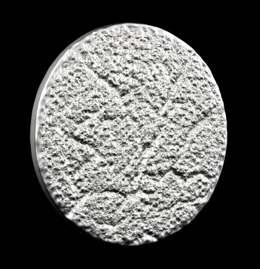 Chinese Zodiac Cat 003 3D print model_26