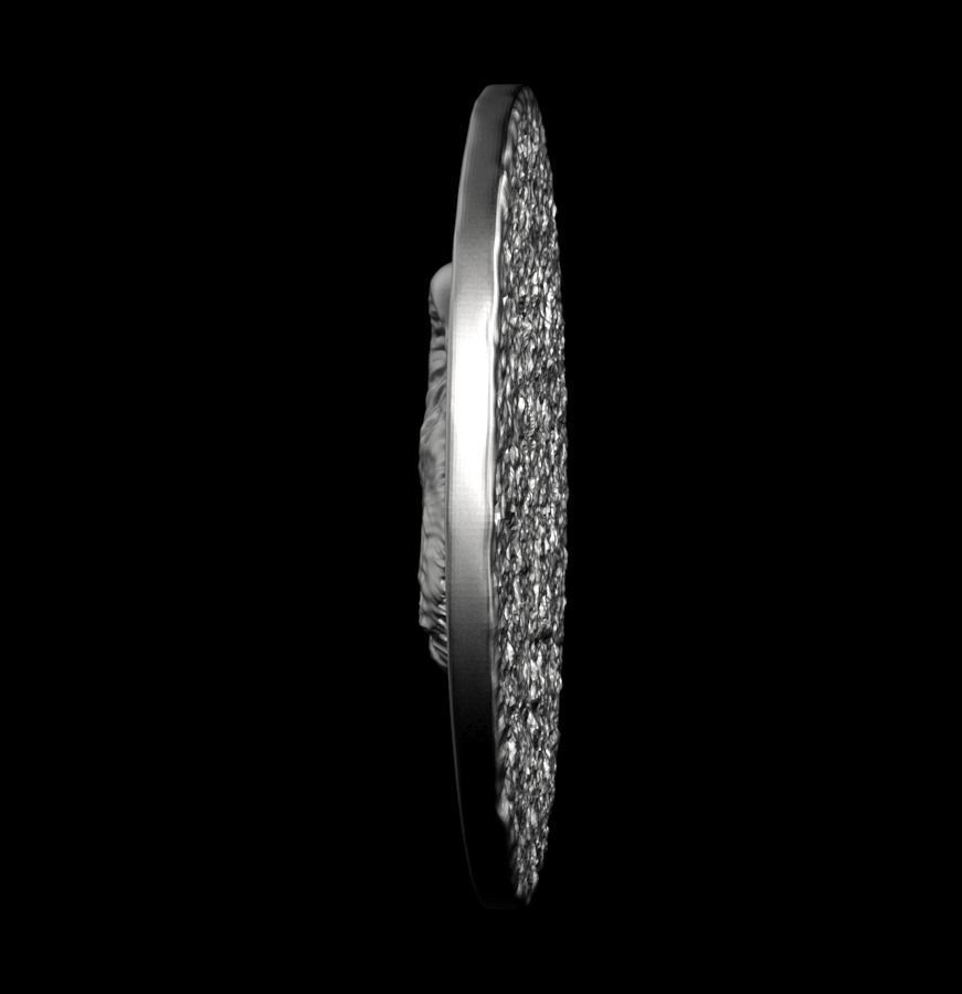 Chinese Zodiac Cat 003 3D print model_17