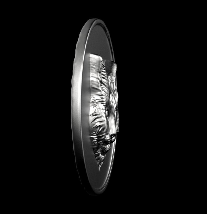 Chinese Zodiac Cat 003 3D print model_48