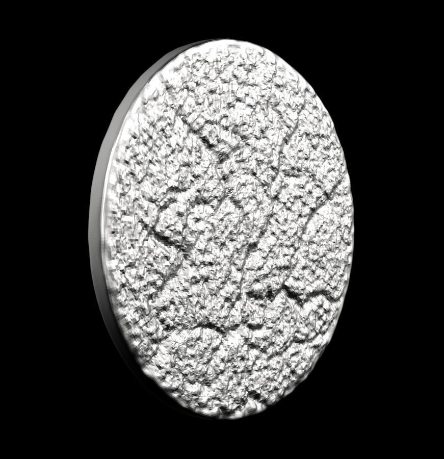 Chinese Zodiac Cat 003 3D print model_23