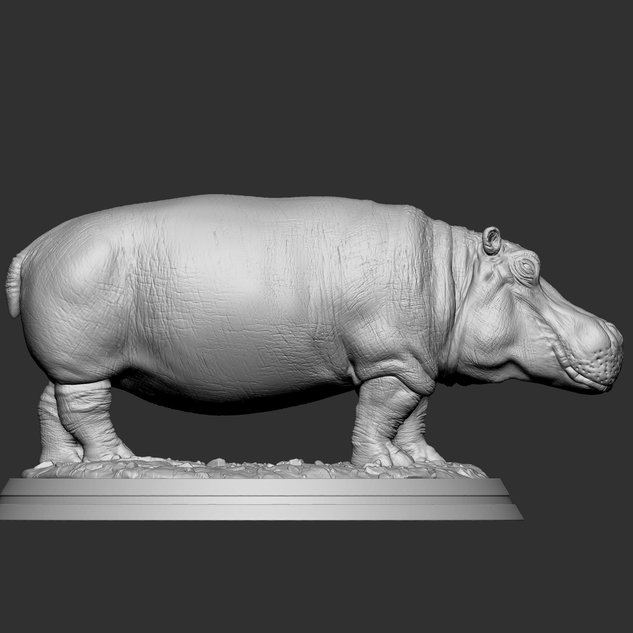 HIPPOPOTAMUS 3D print model_5