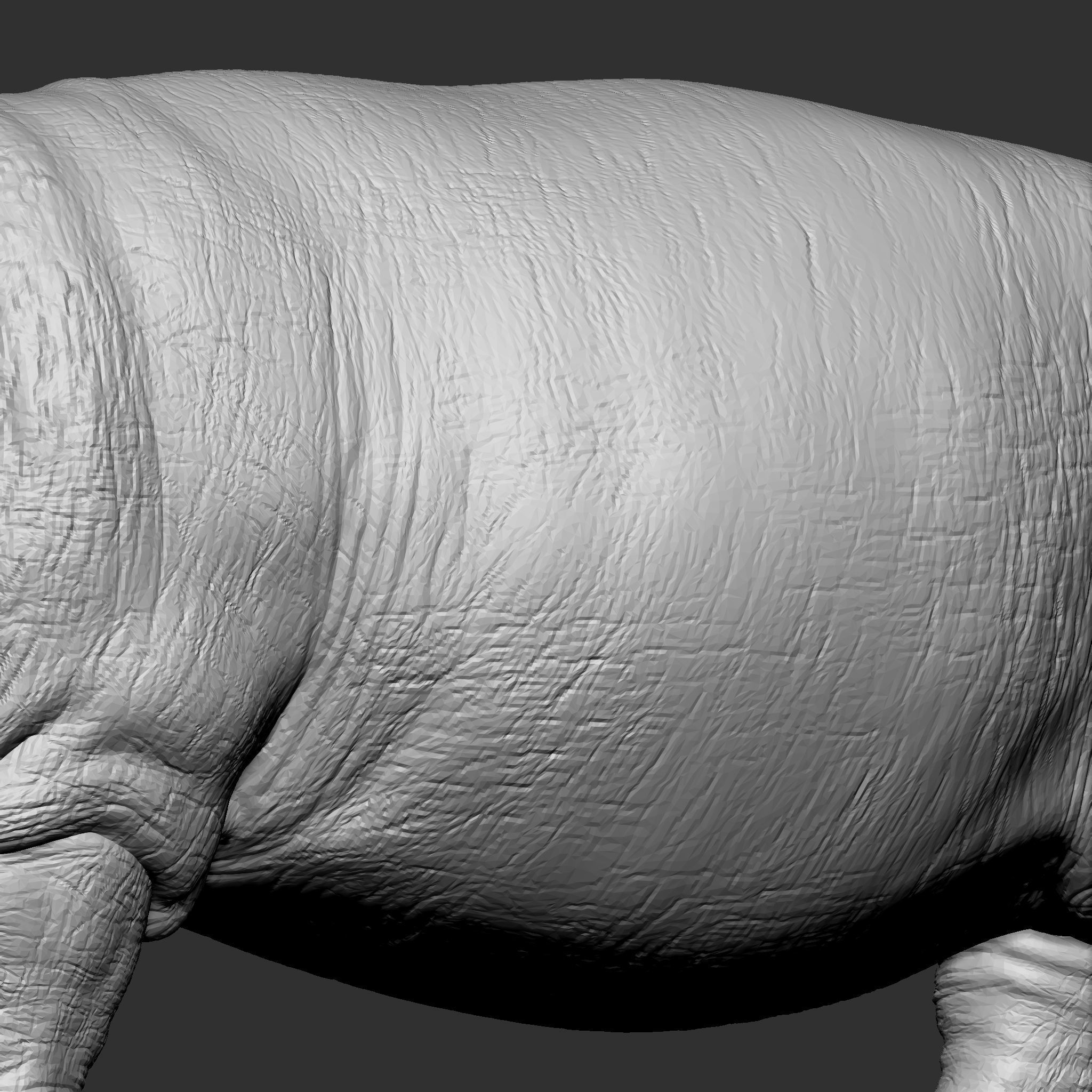 HIPPOPOTAMUS 3D print model_10