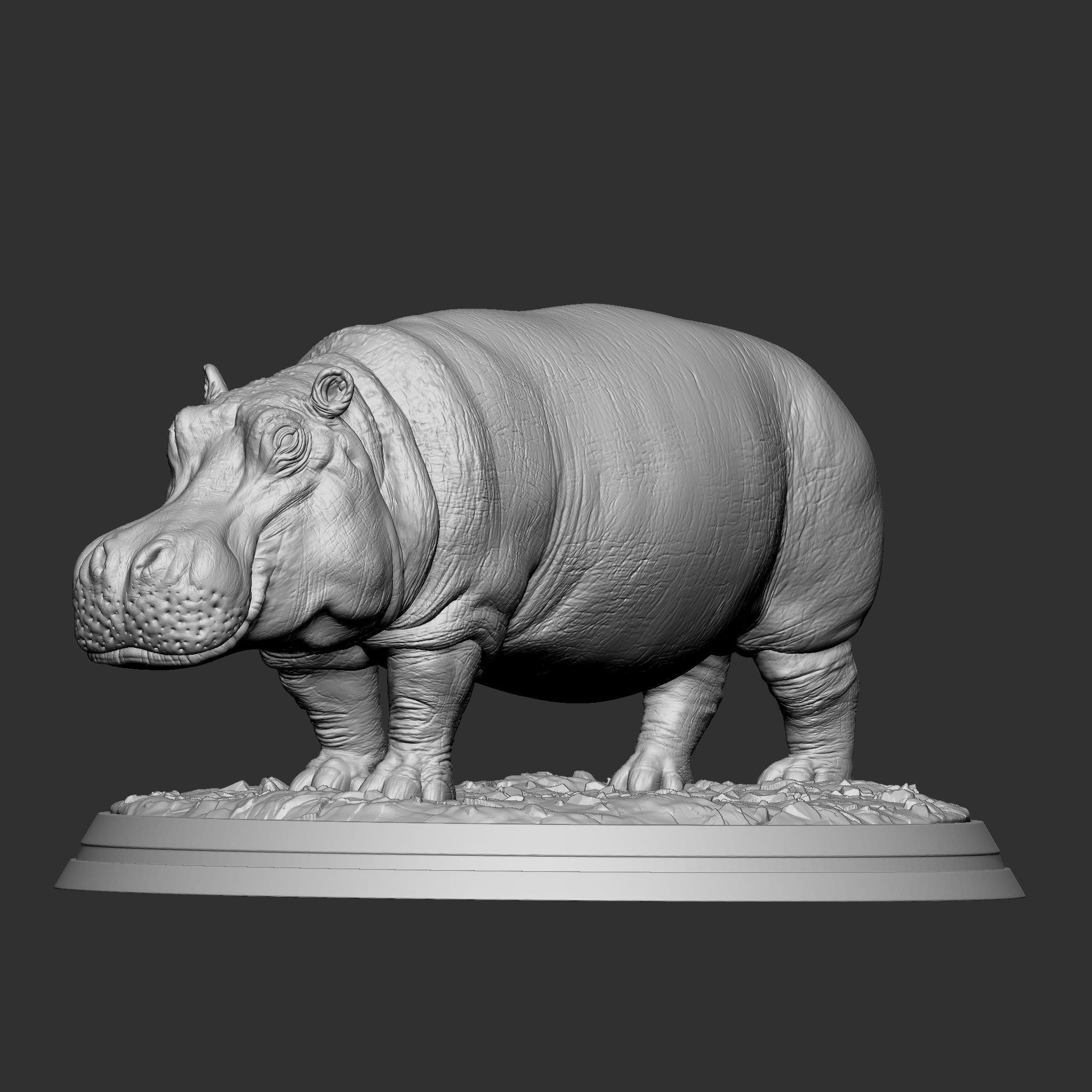HIPPOPOTAMUS 3D print model_1