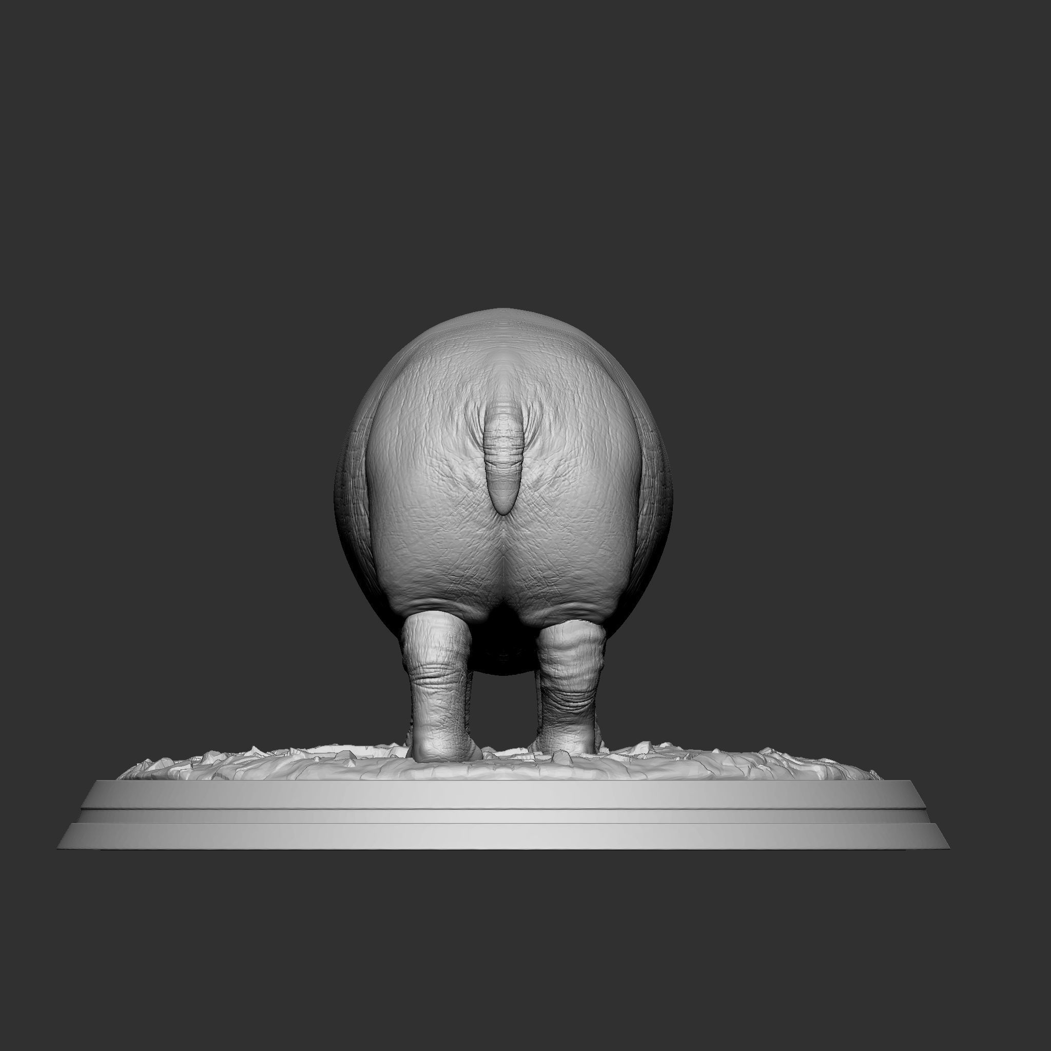 HIPPOPOTAMUS 3D print model_6