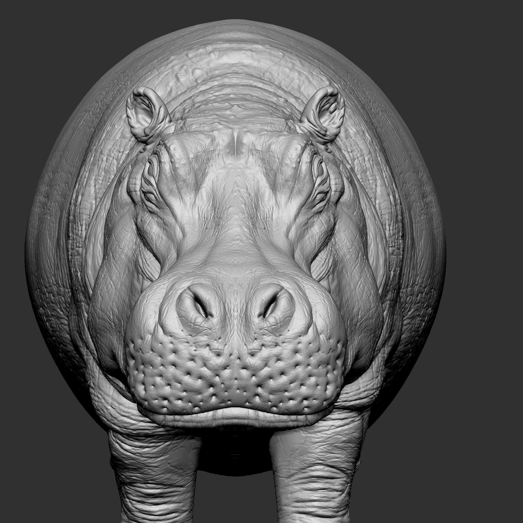 HIPPOPOTAMUS 3D print model_9