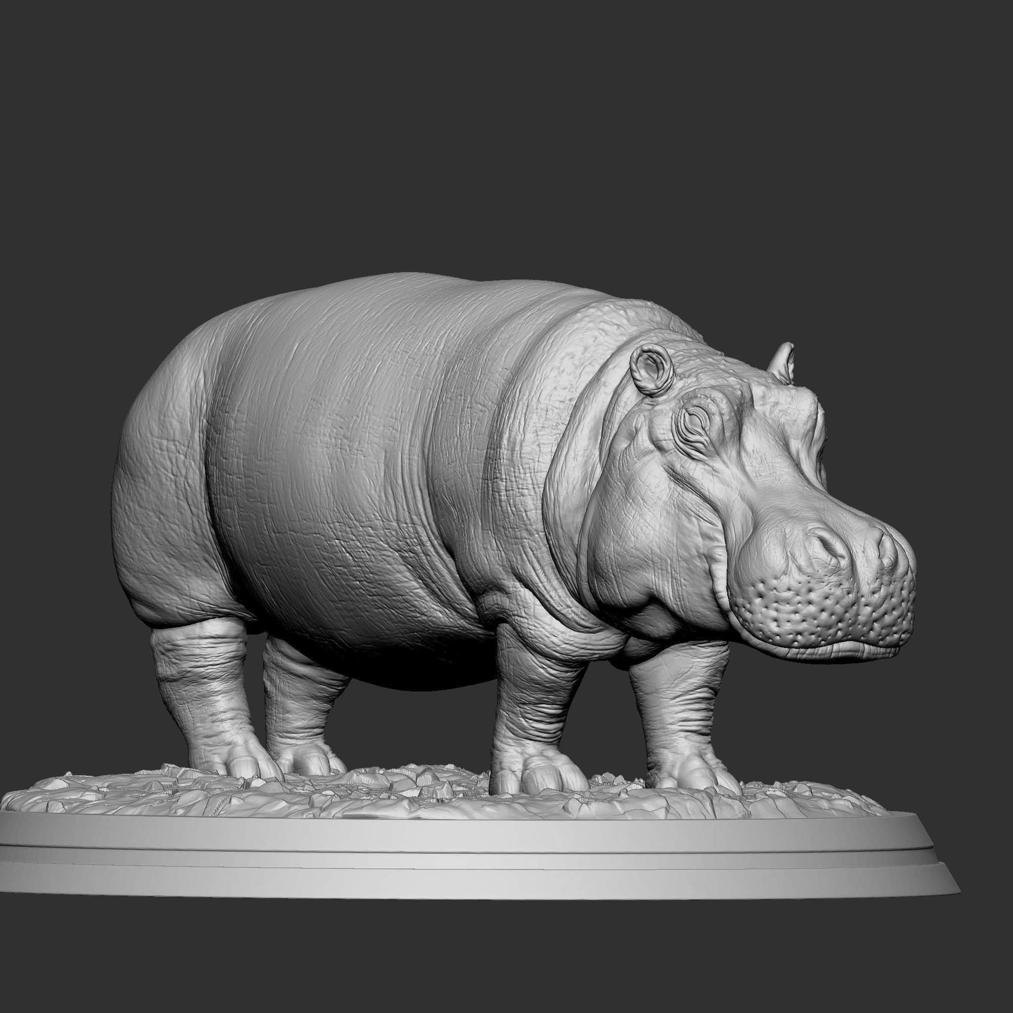 HIPPOPOTAMUS 3D print model_4