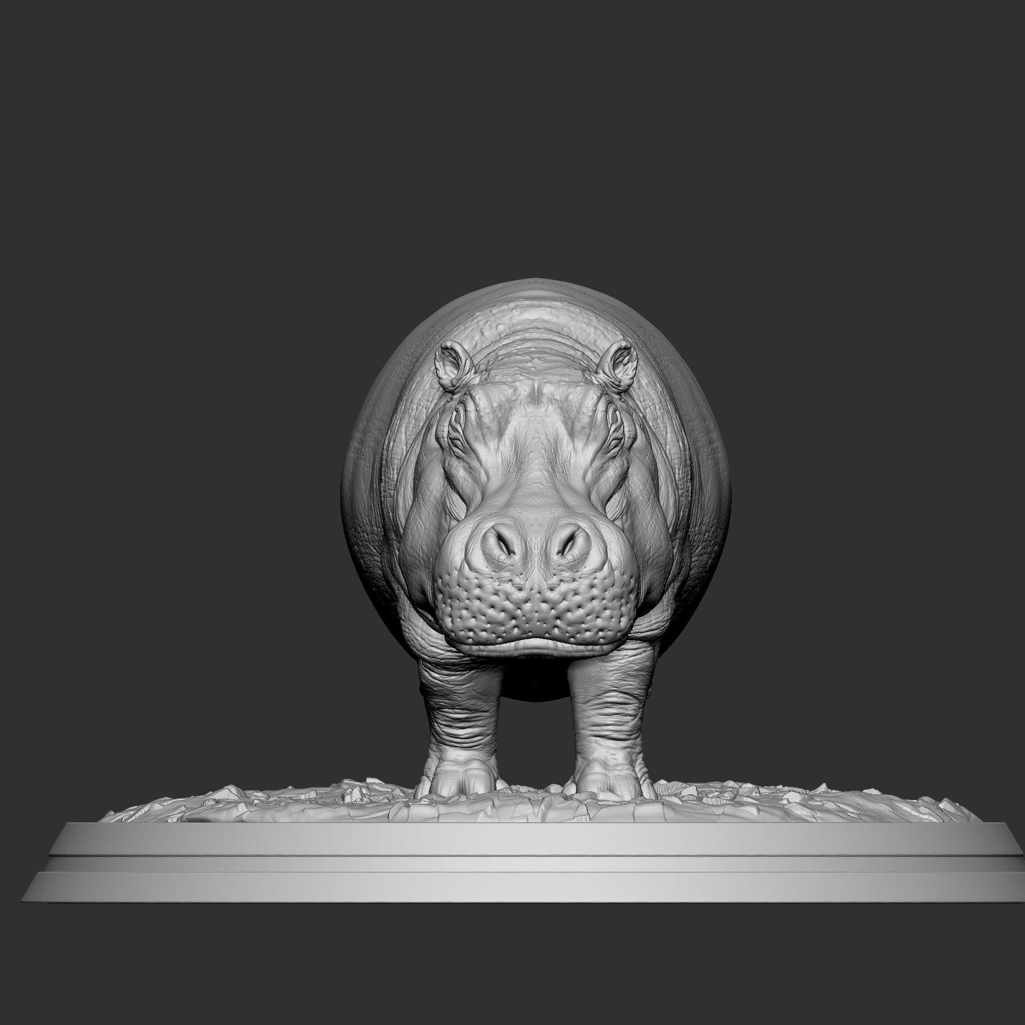 HIPPOPOTAMUS 3D print model_3