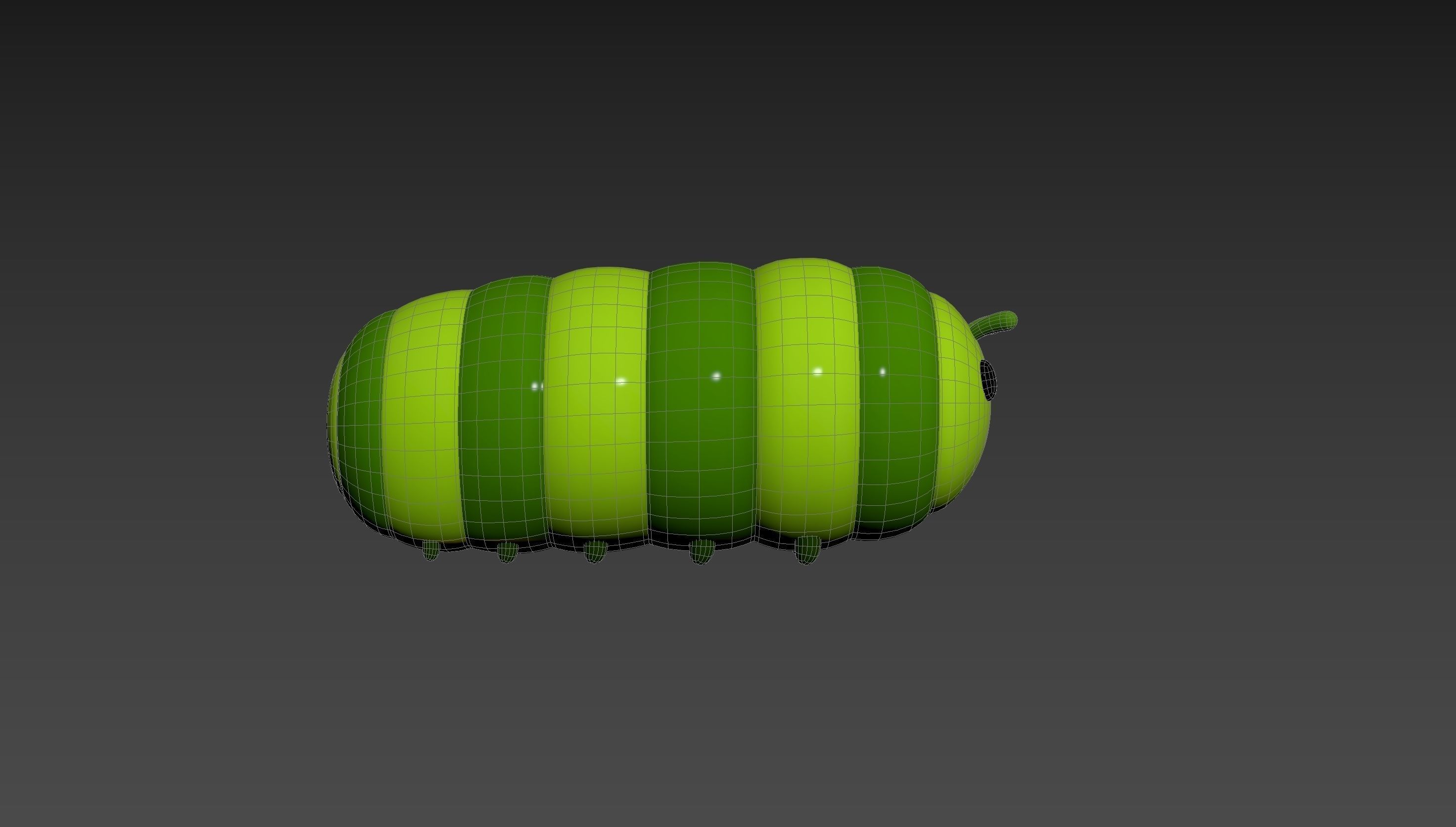Character204 Caterpillar 3D model_17