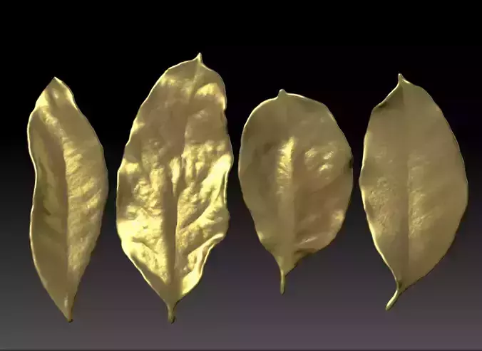 ZBrush Leaf Brush  leaf  foliage  leafage 3D printing leaves  3D print model