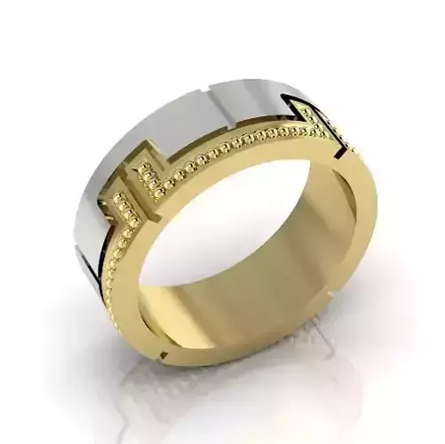 Wedding ring double alloy Model 2834