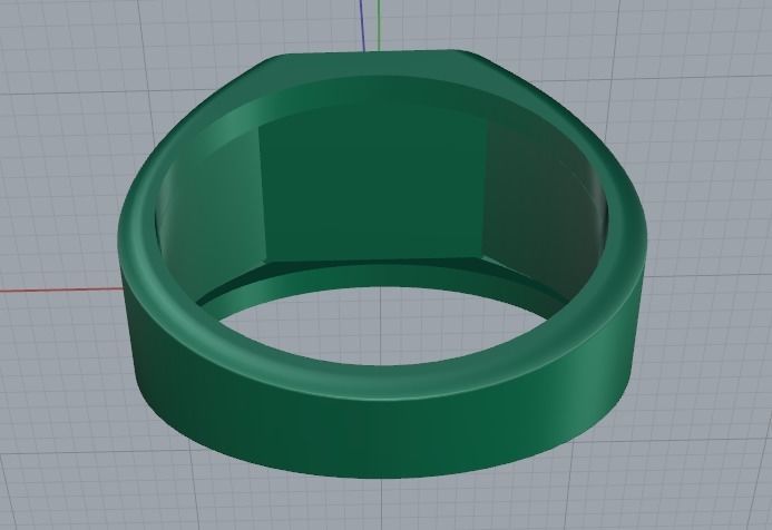 Ring Model 2813 3D print model_4