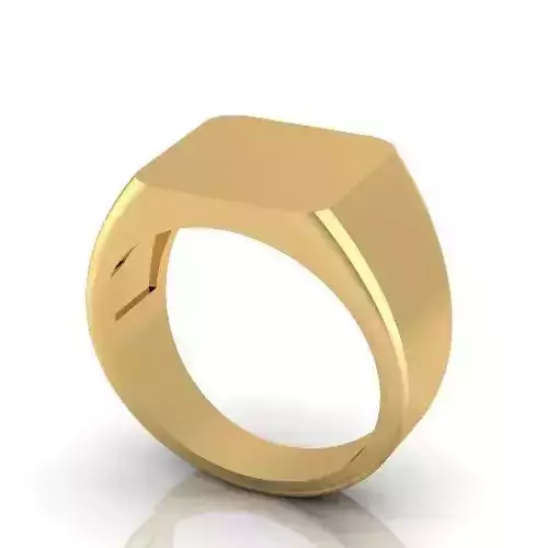 Ring Model 2813