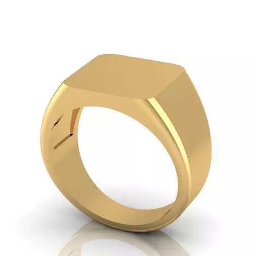 Ring Model 2813 3D print model_0