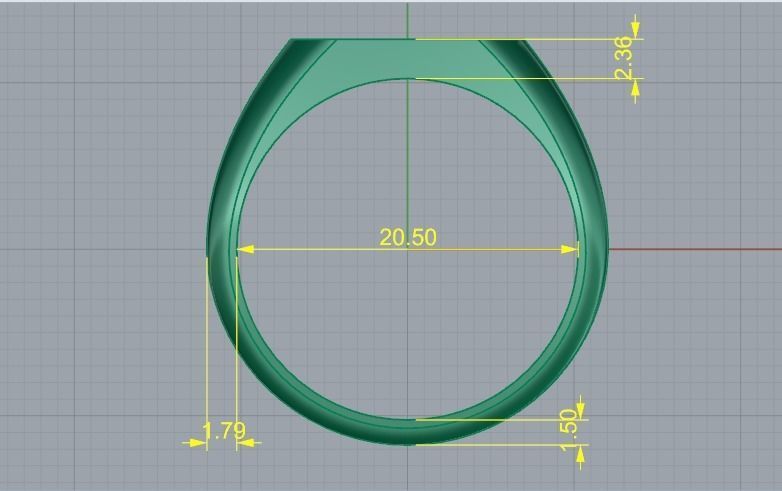 Ring Model 2813 3D print model_5