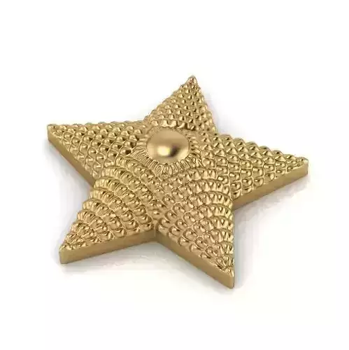 Star Shoulder straps Model 2803