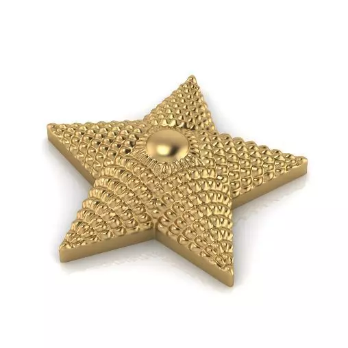 Star Shoulder straps Model 2803 3D print model_0