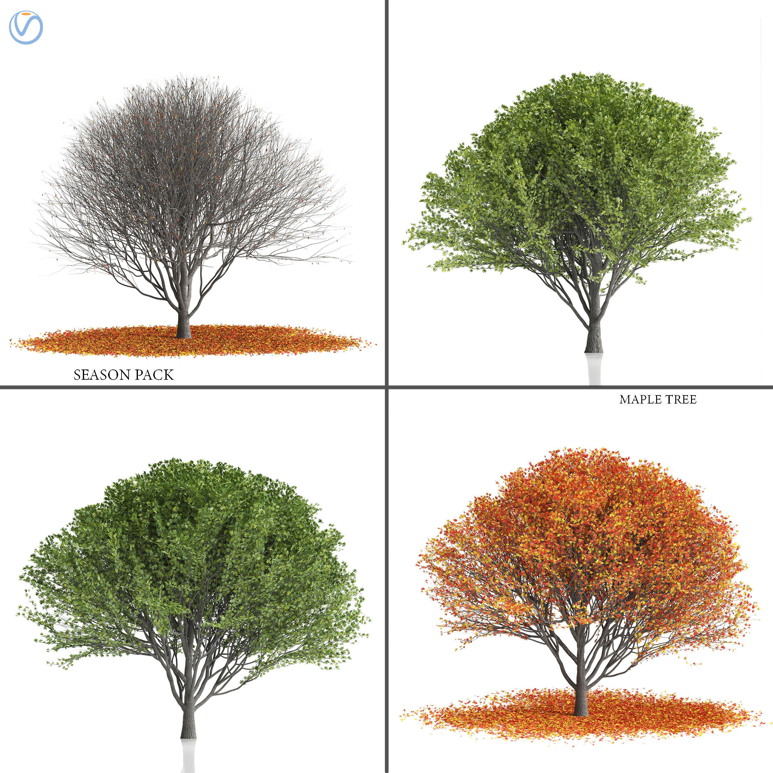 Maple tree-season pack 3D model_3