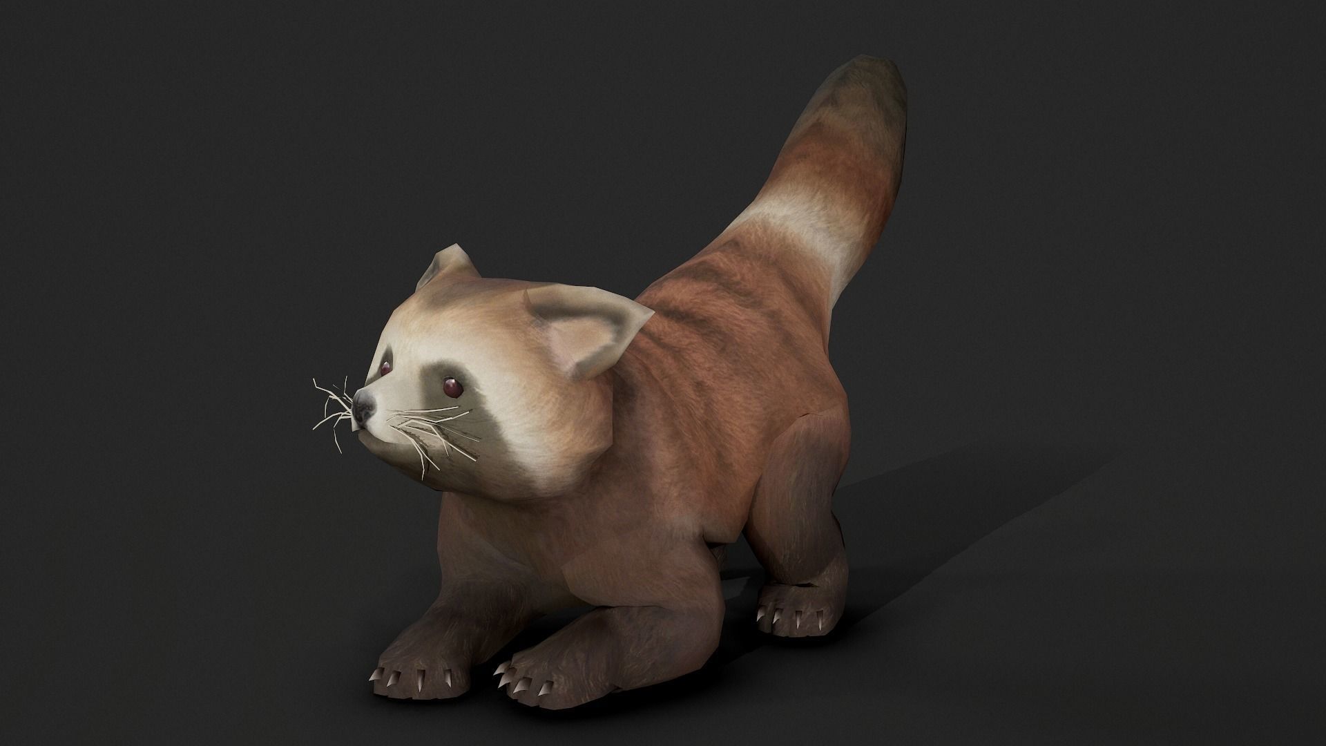 red panda Low-poly 3D model_5