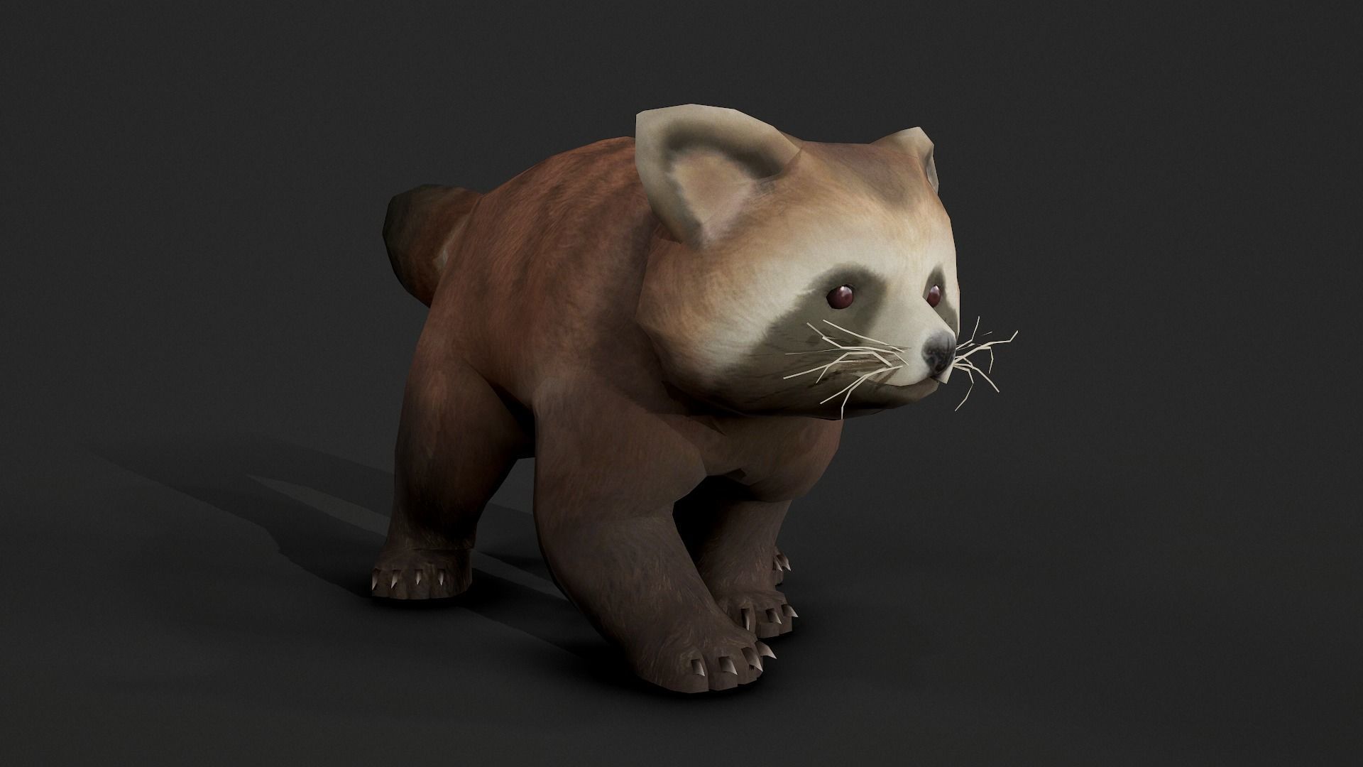 red panda Low-poly 3D model_4