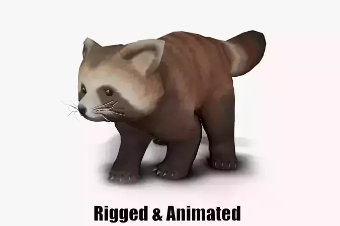 red panda Low-poly 3D model
