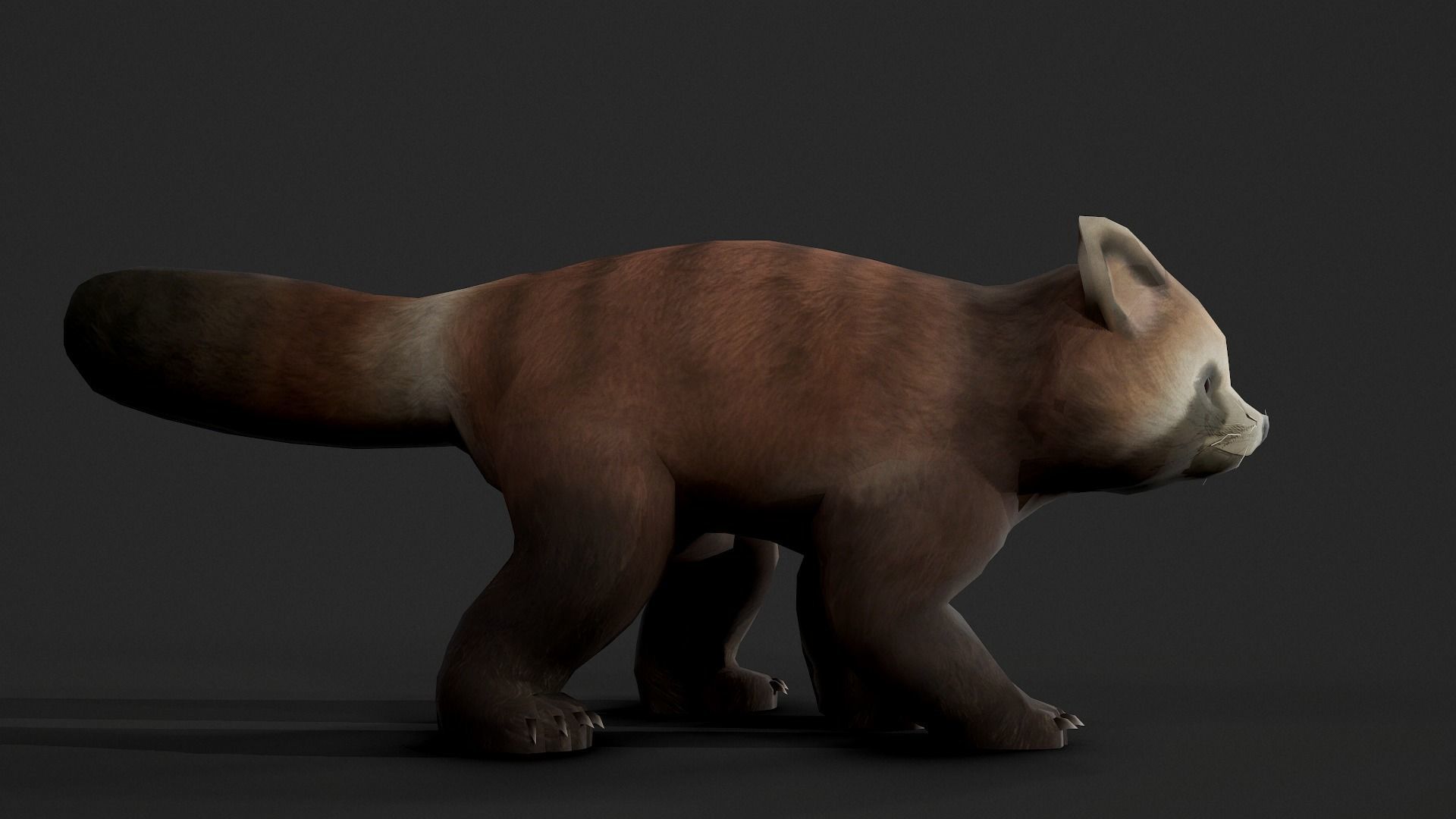 red panda Low-poly 3D model_8