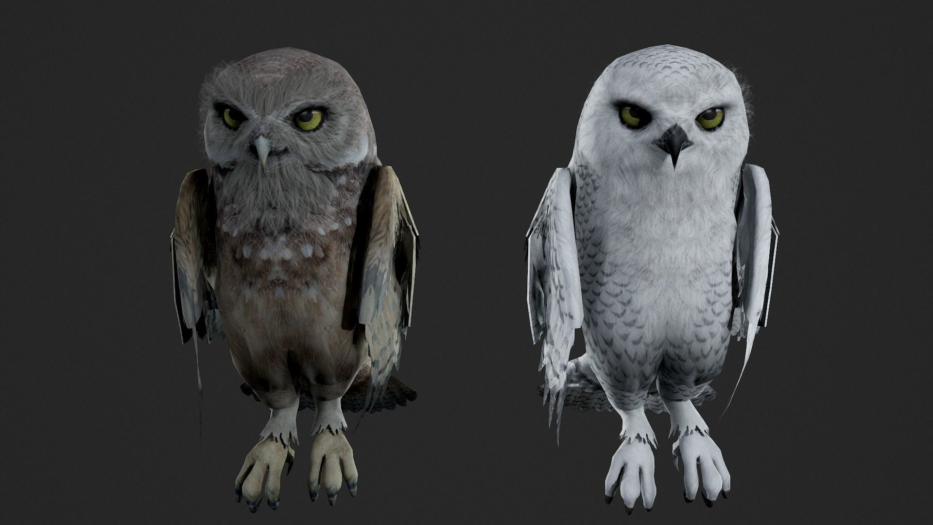 animated owl Low-poly 3D model_2