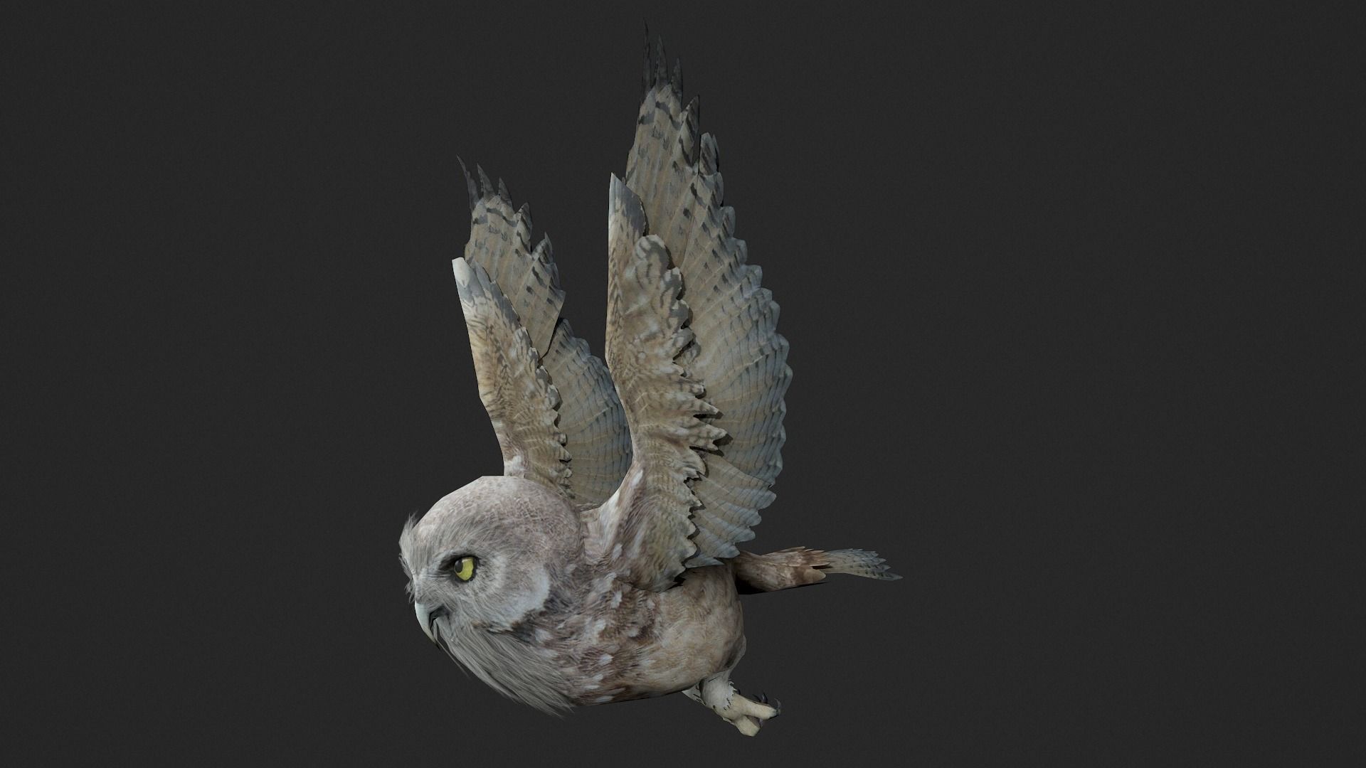 animated owl Low-poly 3D model_4
