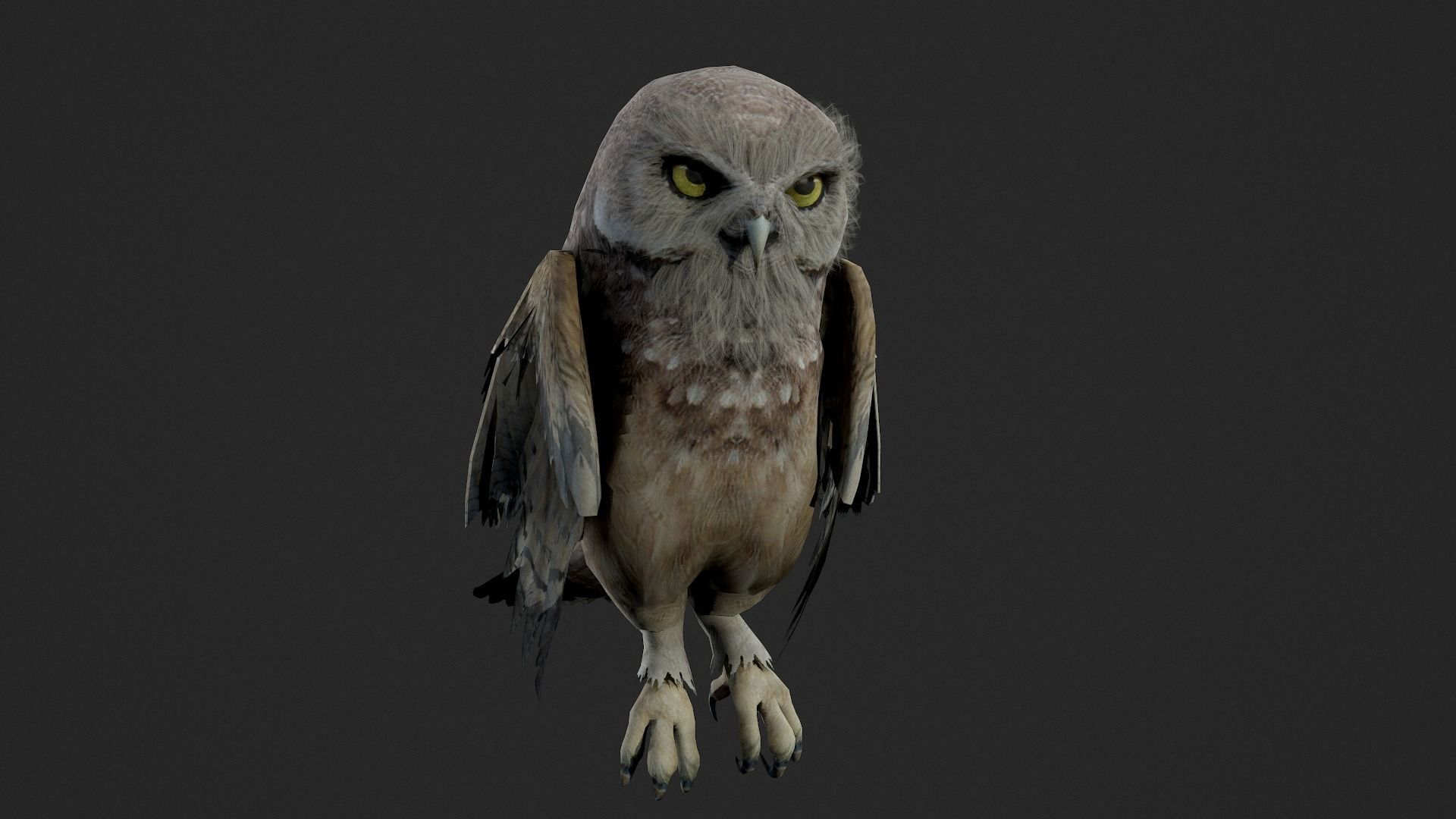 animated owl Low-poly 3D model_5
