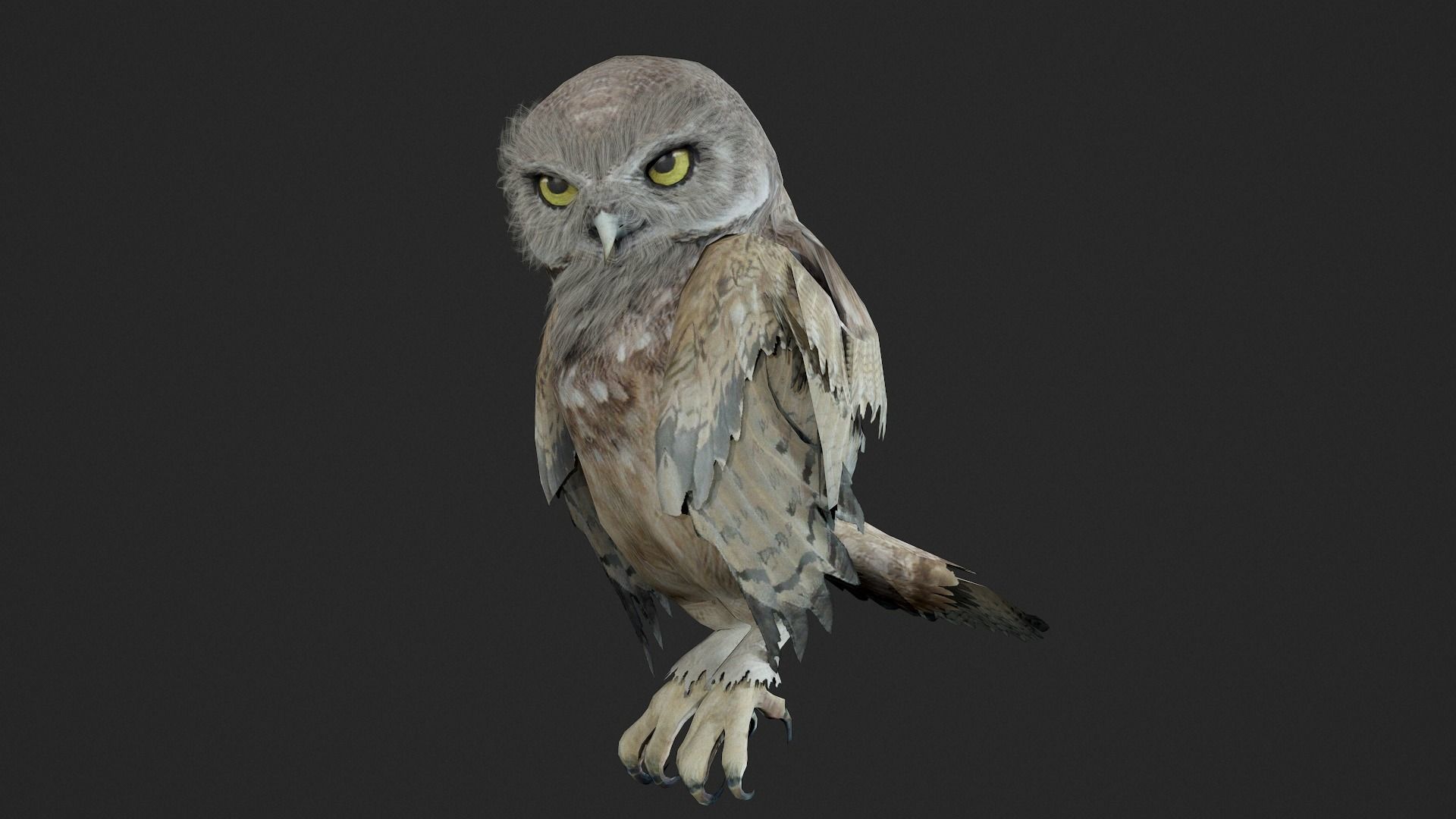 animated owl Low-poly 3D model_6