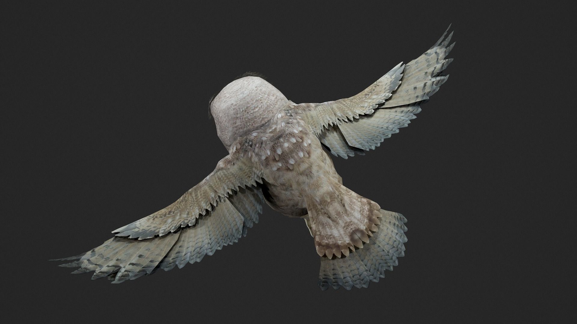 animated owl Low-poly 3D model_3