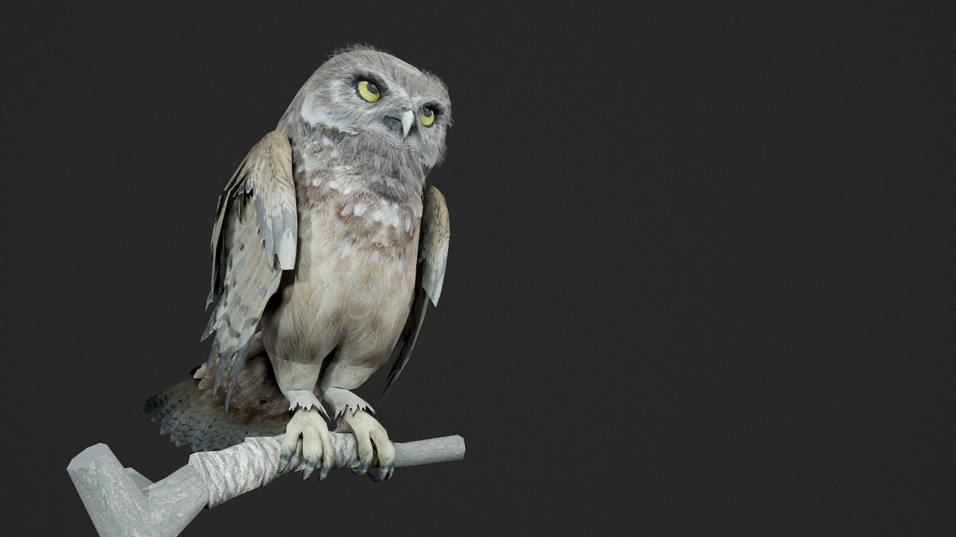 animated owl Low-poly 3D model_7