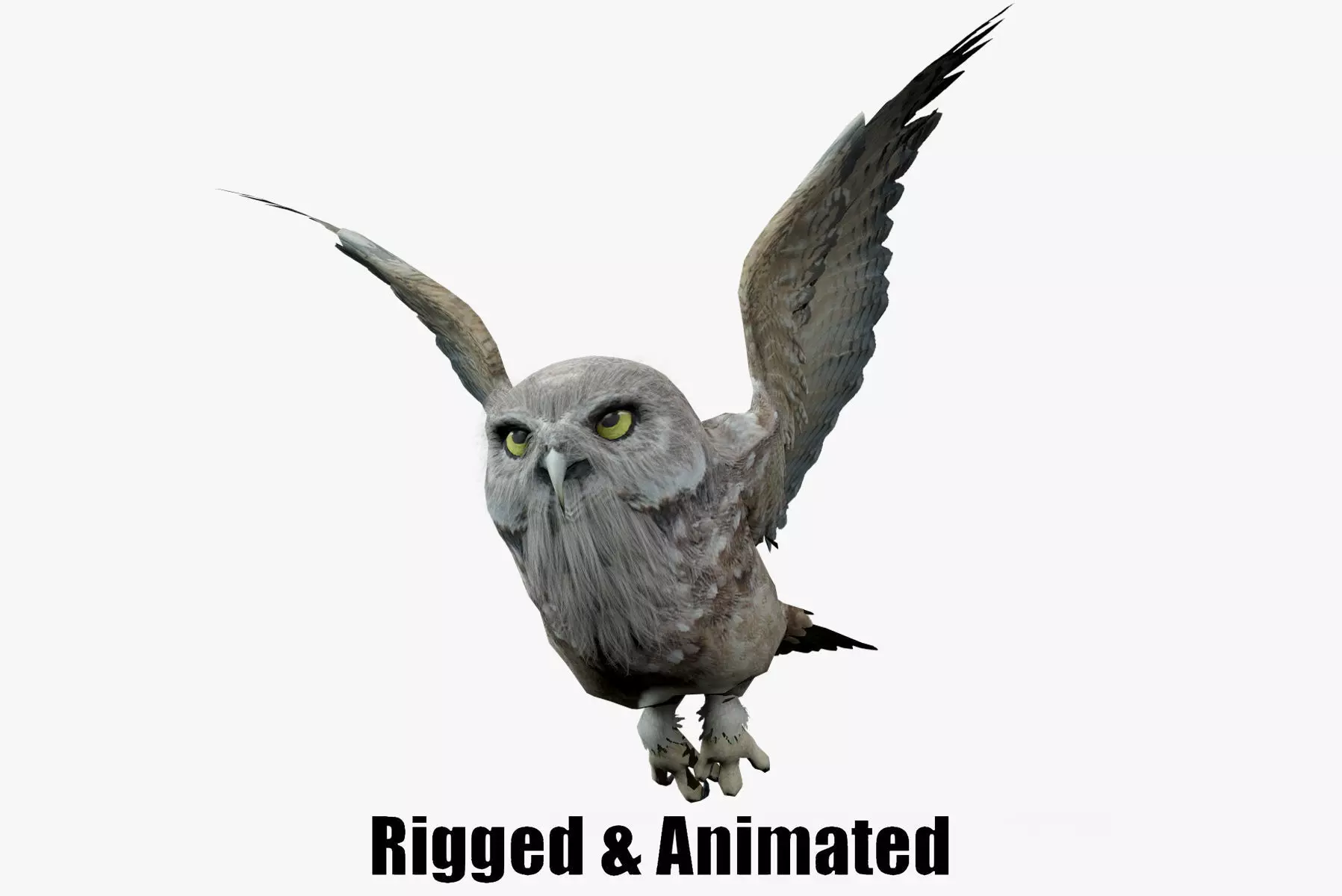 animated owl Low-poly 3D model_0