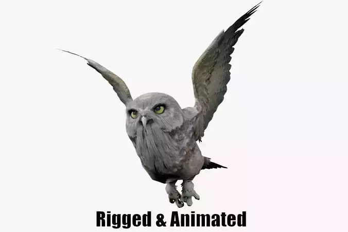 animated owl Low-poly 3D model