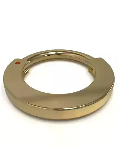 Septum ring blank