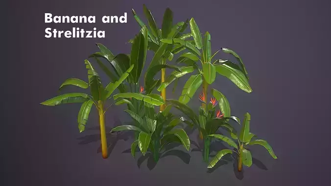 Banana and Strelitzia Plants Low-poly 3D model