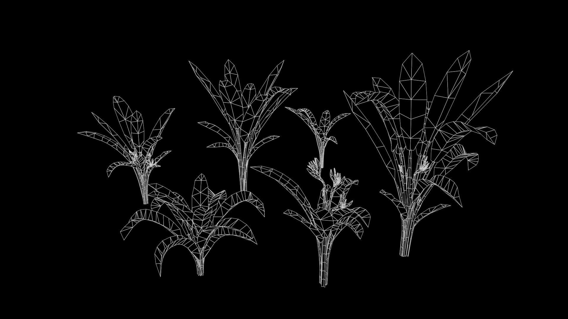 Banana and Strelitzia Plants Low-poly 3D model_4