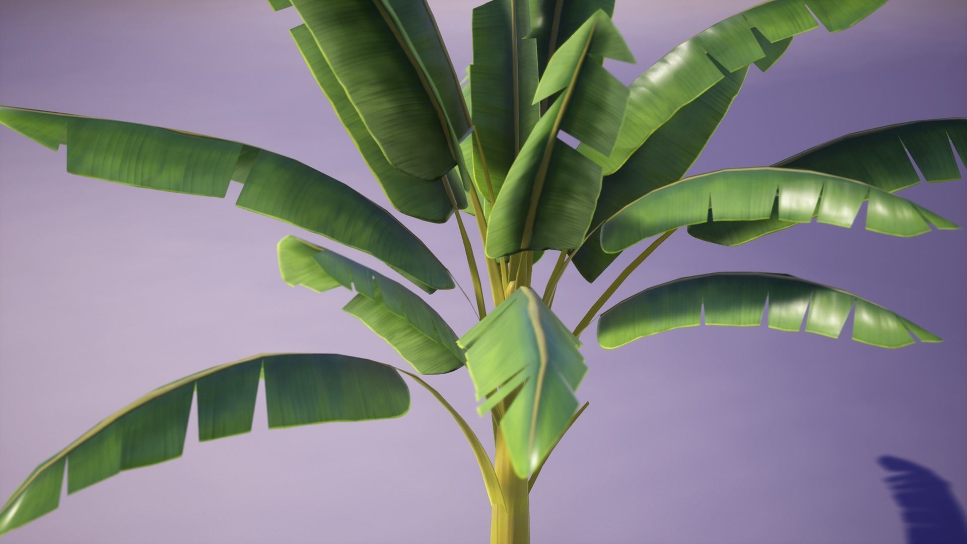 Banana and Strelitzia Plants Low-poly 3D model_18