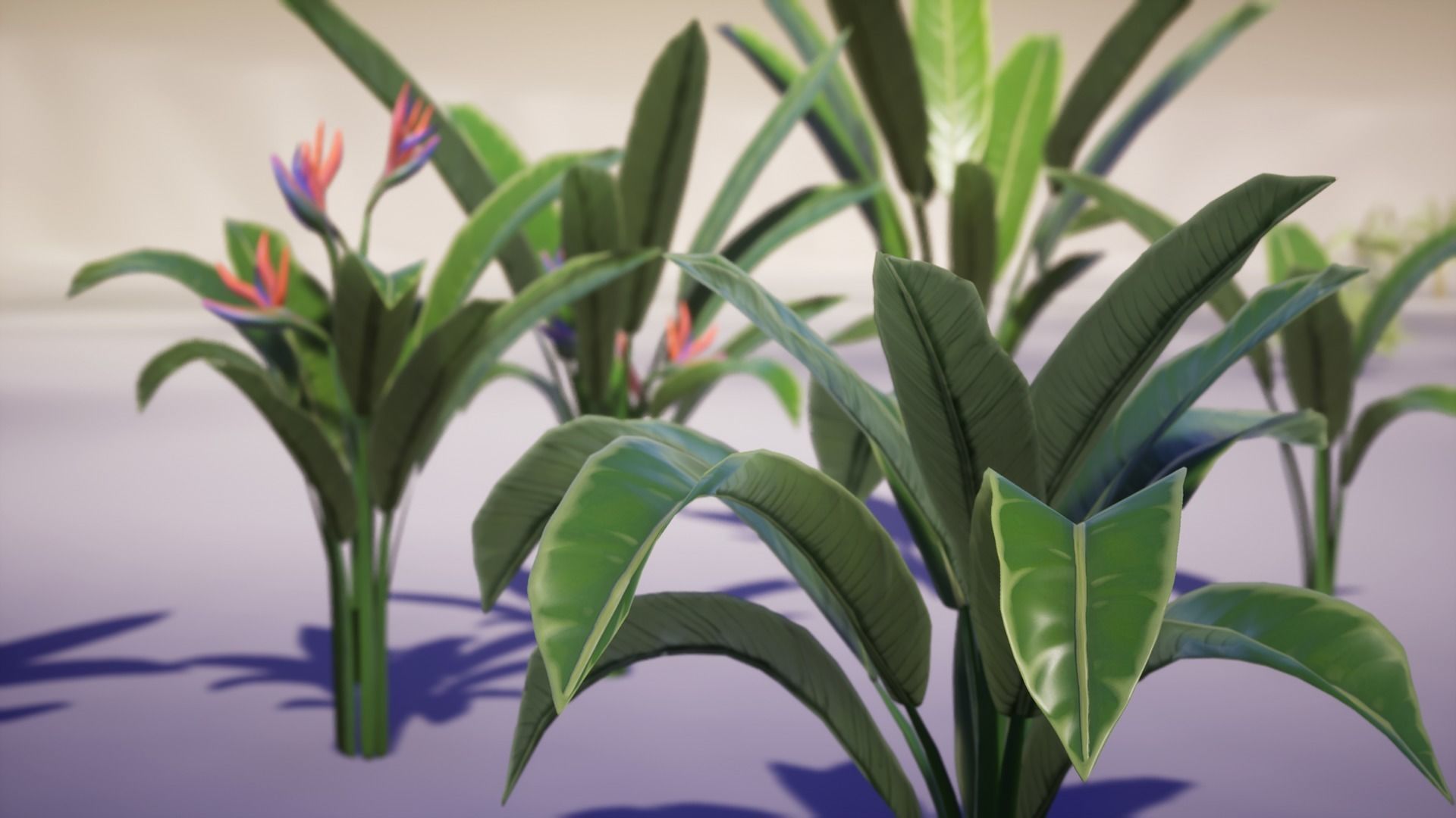Banana and Strelitzia Plants Low-poly 3D model_8