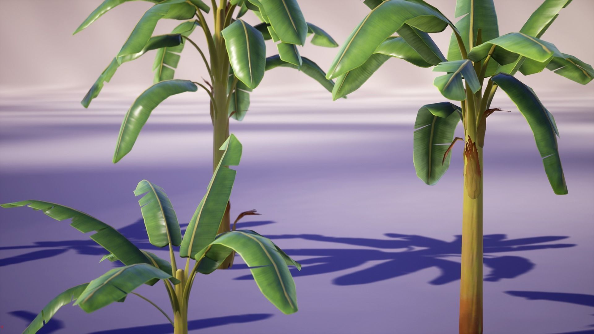 Banana and Strelitzia Plants Low-poly 3D model_13