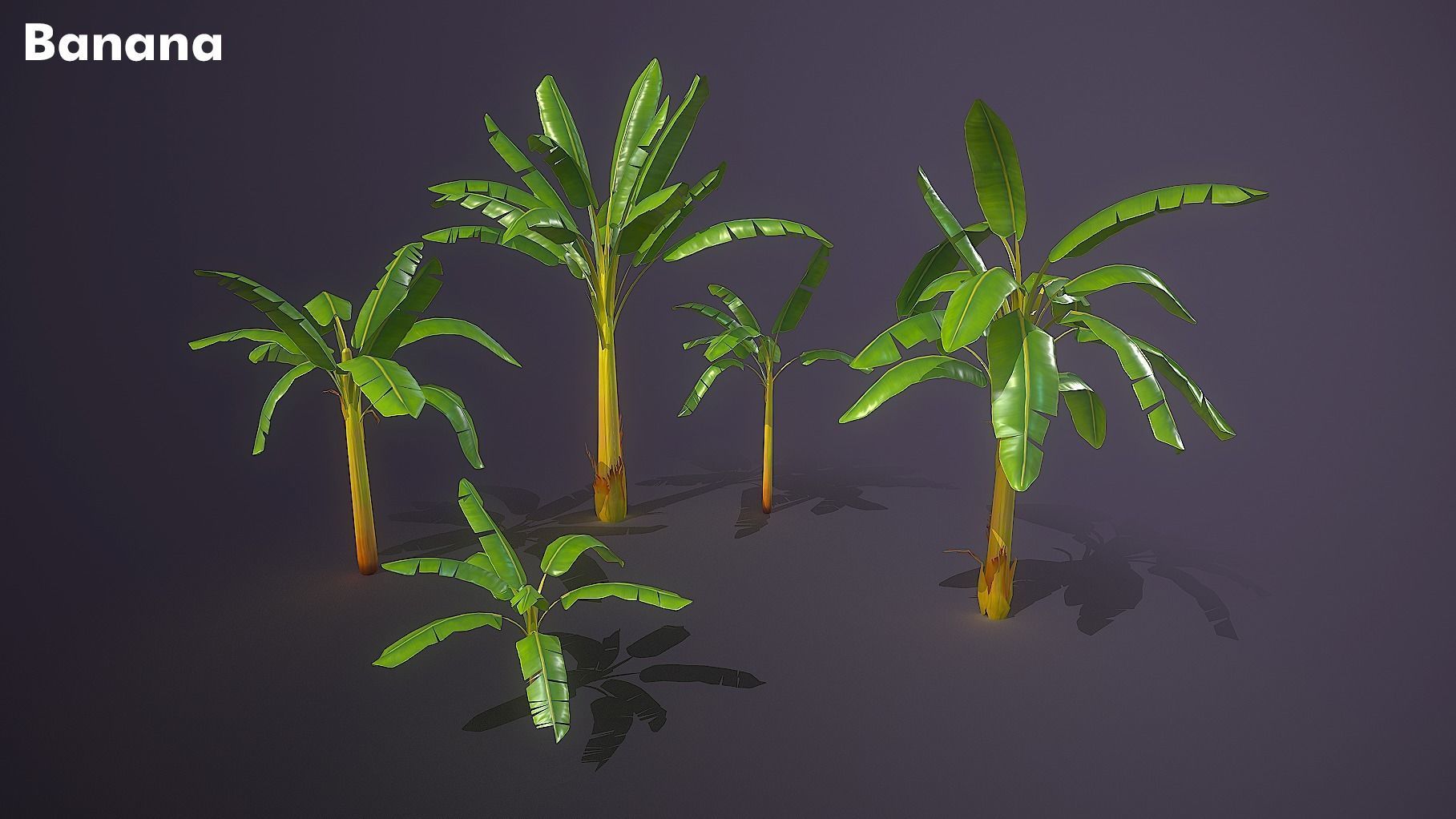 Banana and Strelitzia Plants Low-poly 3D model_1