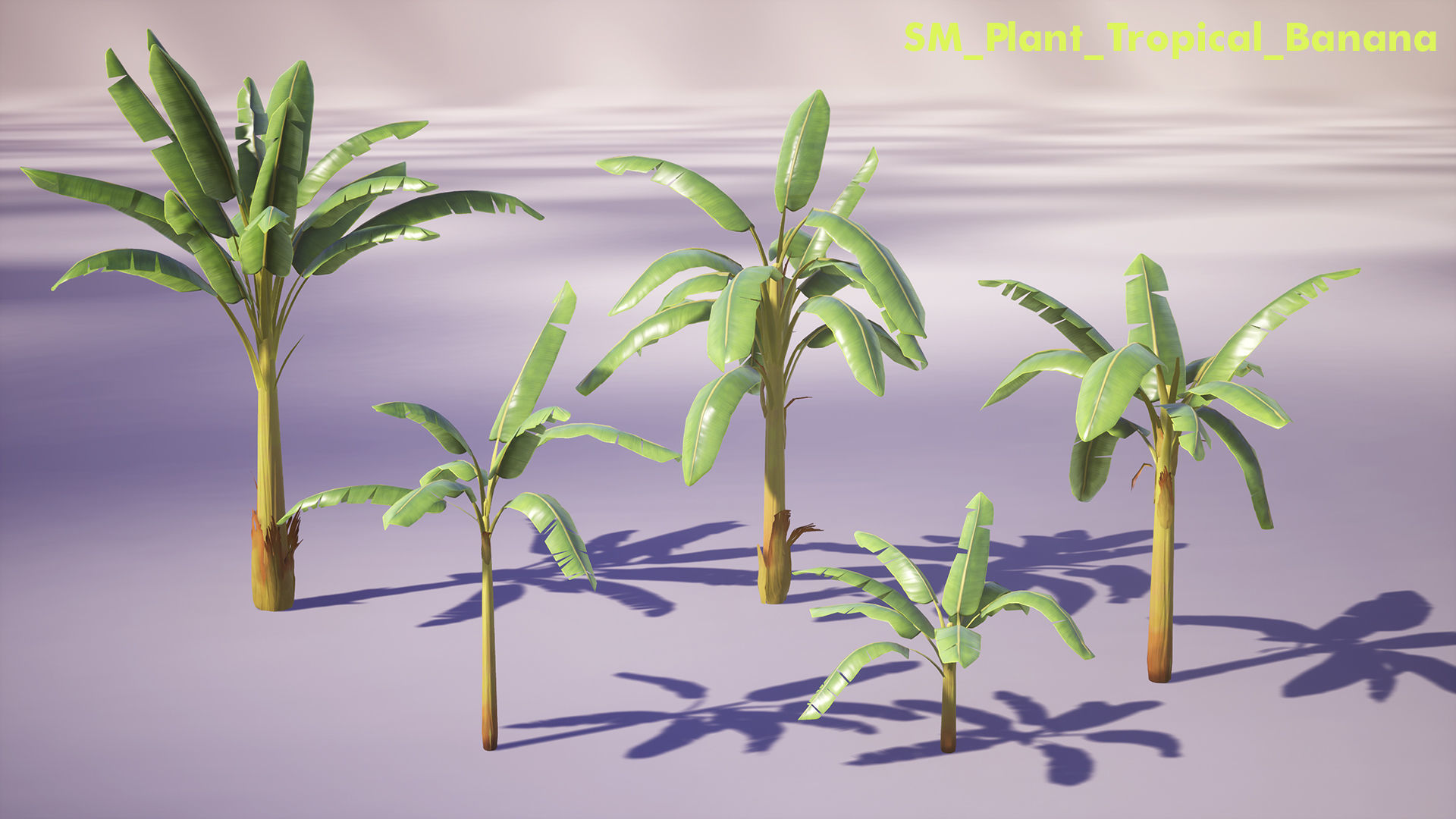 Banana and Strelitzia Plants Low-poly 3D model_6