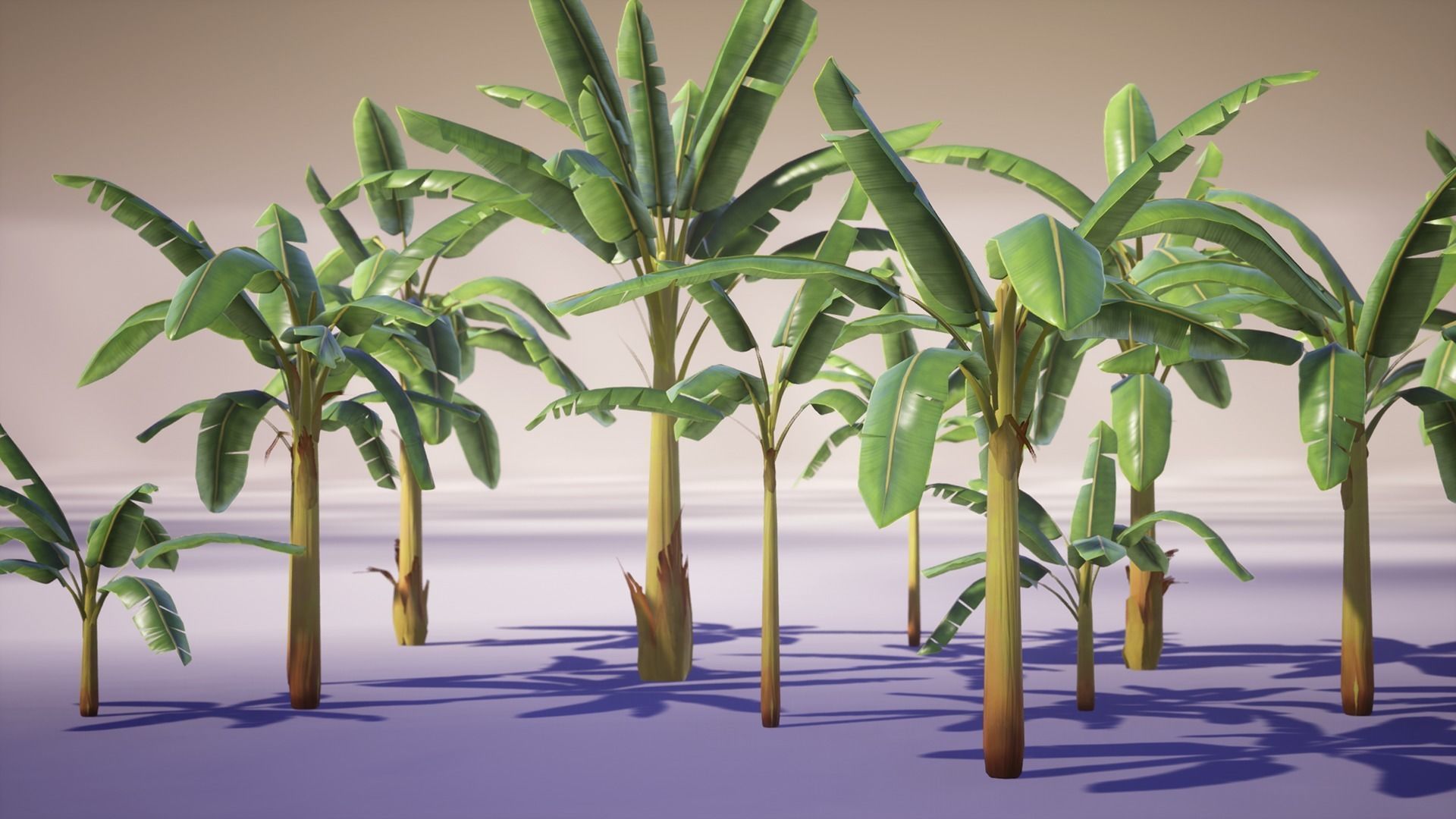 Banana and Strelitzia Plants Low-poly 3D model_17
