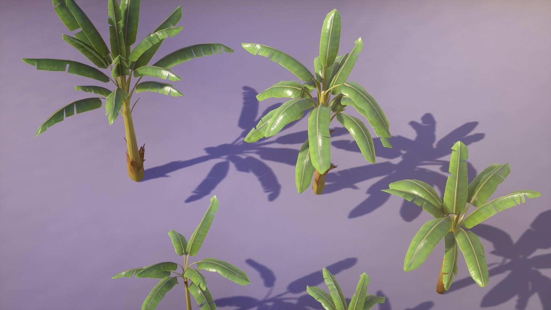 Banana and Strelitzia Plants Low-poly 3D model_14