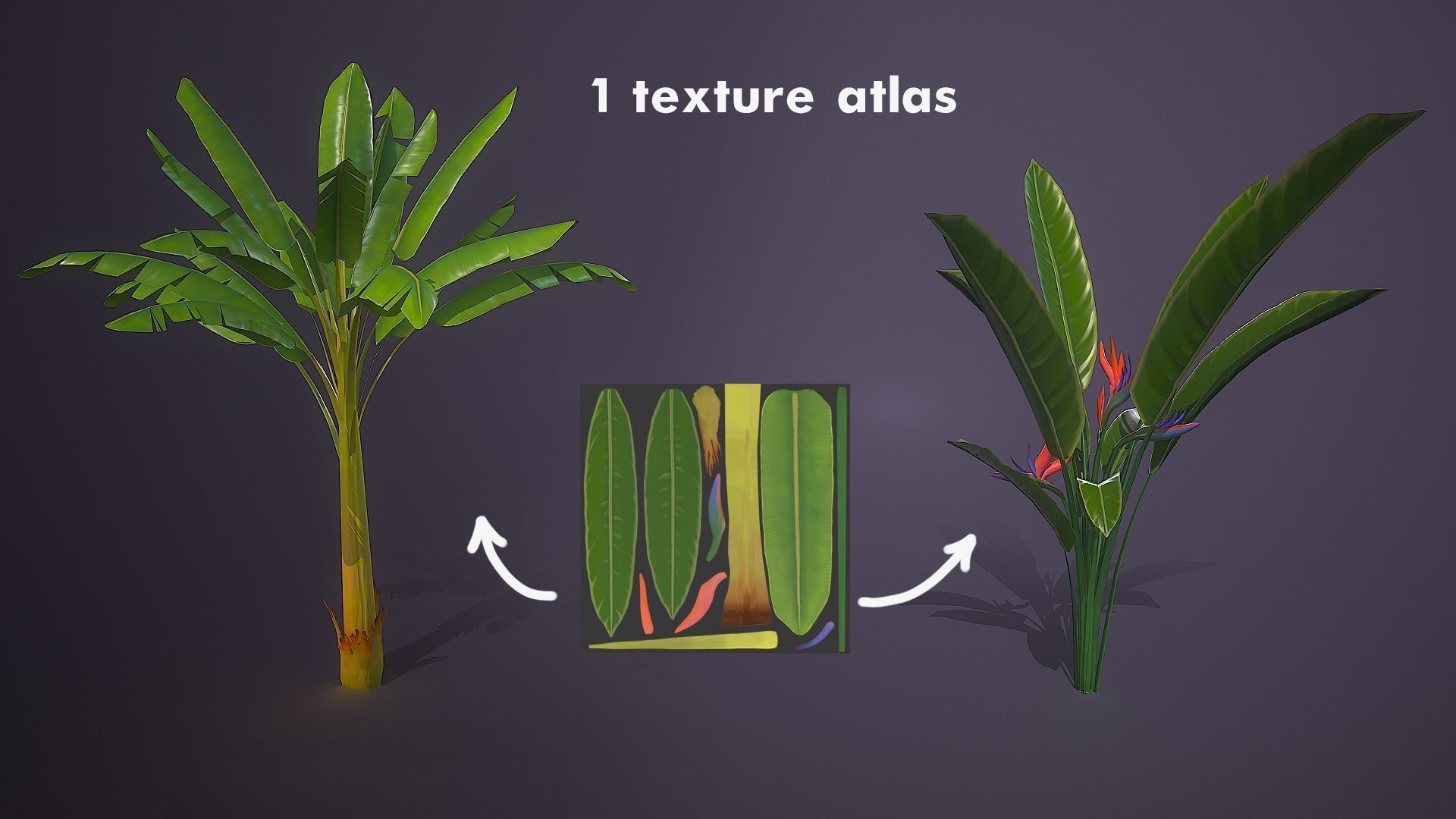 Banana and Strelitzia Plants Low-poly 3D model_5